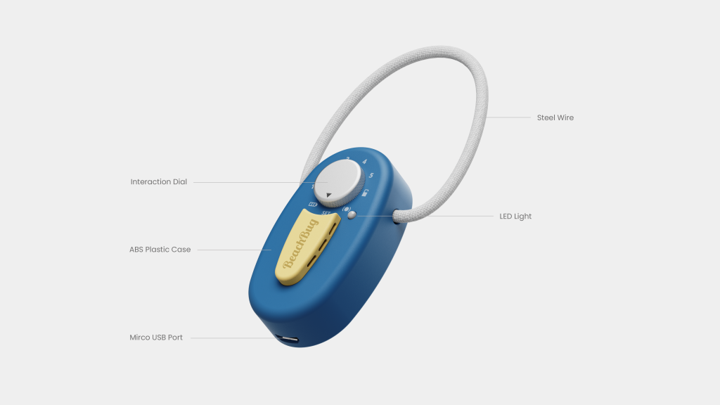 Beach alarm overview